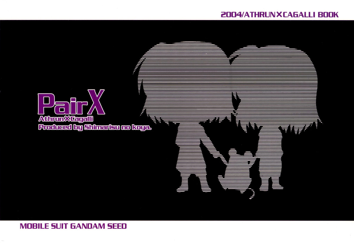 Doujinshis – (Gundam Seed) Pair X