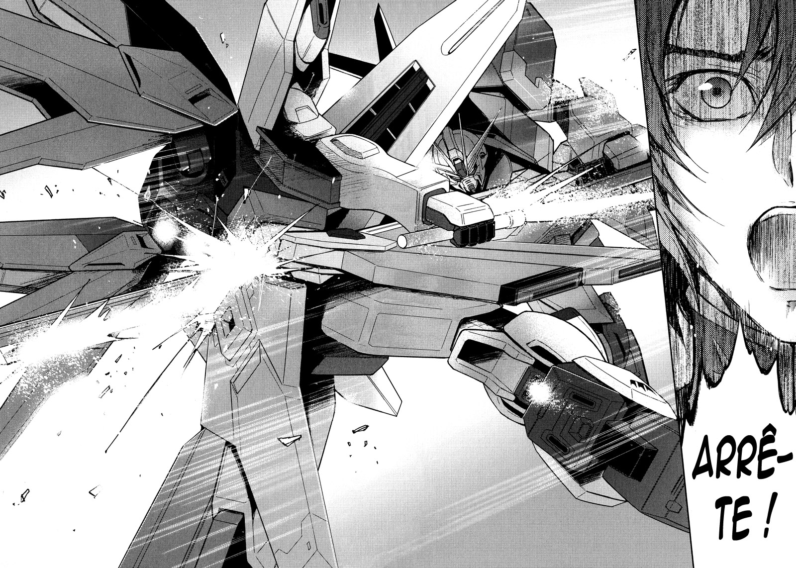 Gundam Seed Destiny ~ The Edge – Phase 14 - Nightmare